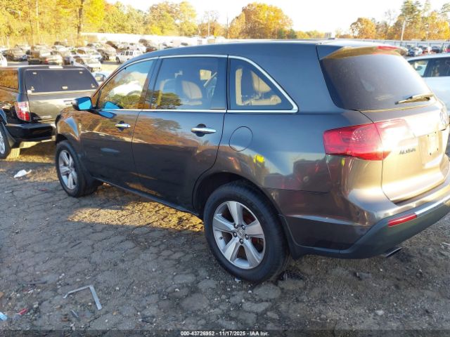 2010 ACURA MDX 2HNYD2H22AH531720 Photo 2