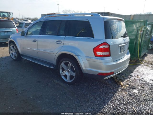 2010 MERCEDES-BENZ GL 550 4JGBF8GE4AA573417 Photo 2
