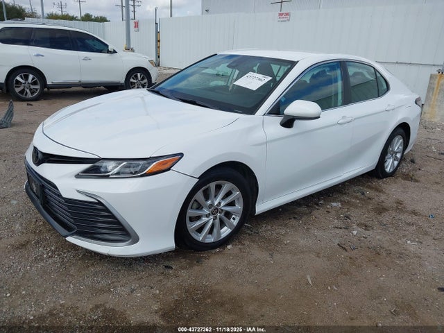 4T1C11AK9MU587812 Toyota CAMRY LE