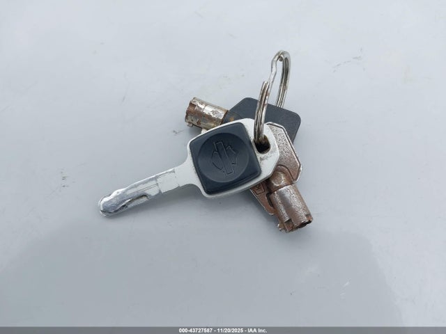 2018 HARLEY-DAVIDSON FLSB 1HD1YMJ68JC054944 Photo 10