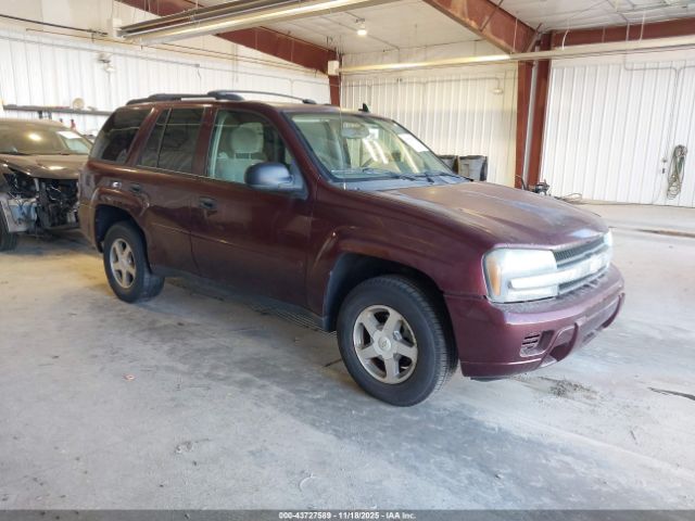2006 CHEVROLET TRAILBLAZER 1GNDS13S962154970