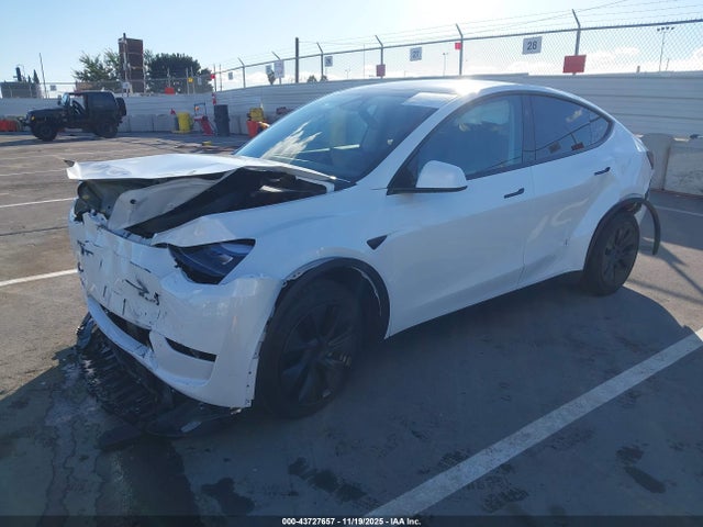 2025 TESLA MODEL Y 7SAYGDED4SF281065 Photo 1