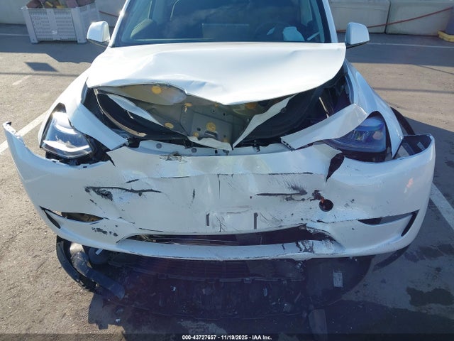 2025 TESLA MODEL Y 7SAYGDED4SF281065 Photo 5
