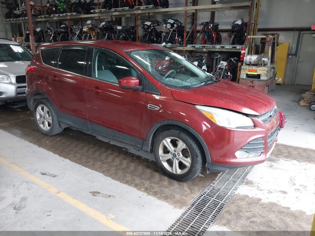 Auction sale of the 2014 Ford Escape Se, vin: 1FMCU0G96EUD91365, lot number: 43727890