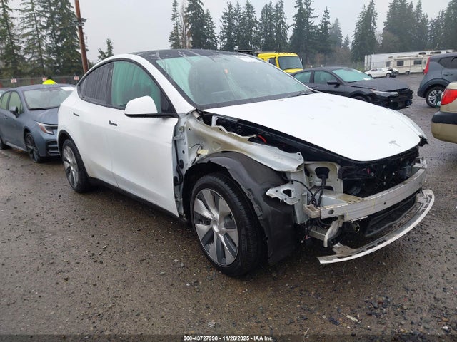2021 TESLA MODEL Y 5YJYGDEE2MF091399 Photo 0
