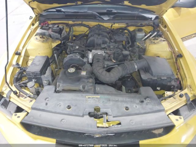 2005 FORD MUSTANG 1ZVFT80N355152521 Photo 9