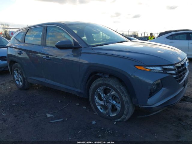 2024 HYUNDAI TUCSON 5NMJACDE8RH419073