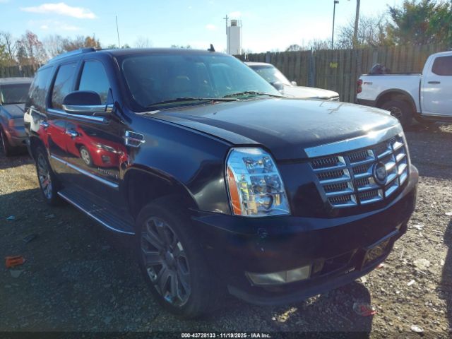 2009 CADILLAC ESCALADE 1GYFK23229R104716