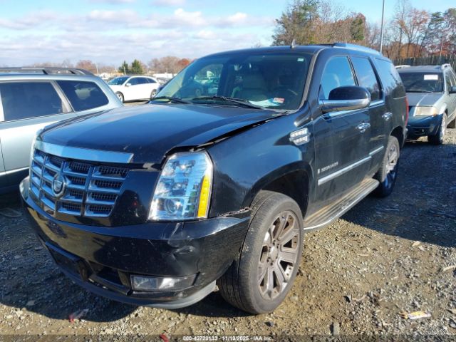 2009 CADILLAC ESCALADE 1GYFK23229R104716 Photo 1