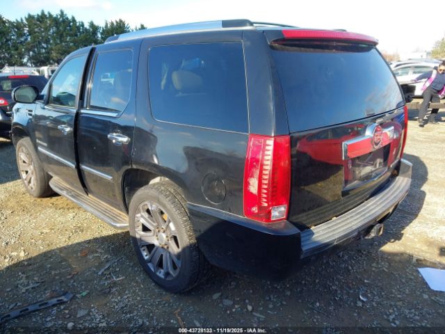 2009 CADILLAC ESCALADE 1GYFK23229R104716 Photo 2