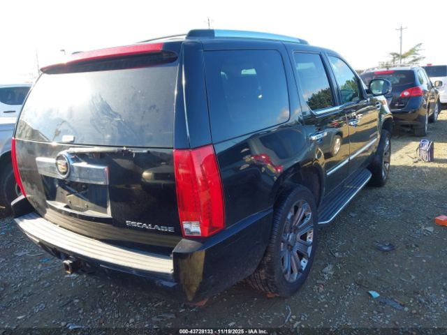 2009 CADILLAC ESCALADE 1GYFK23229R104716 Photo 3
