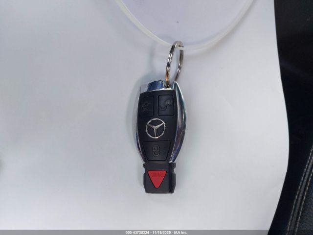 2015 MERCEDES-BENZ GL 450 4JGDF6EE6FA607915 Photo 10