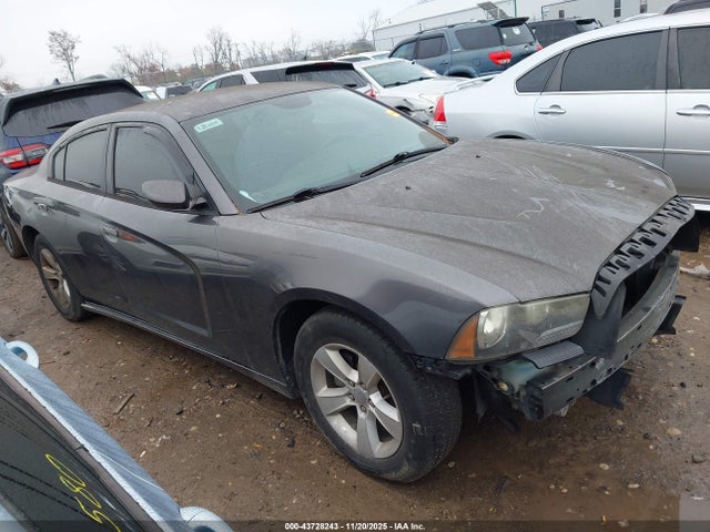 2014 DODGE CHARGER 2C3CDXBG3EH269024