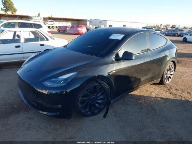 2024 TESLA MODEL Y 7SAYGDEF0RF053690 Photo 5