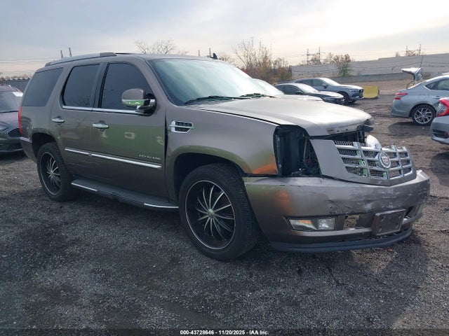 2013 CADILLAC ESCALADE 1GYS4BEF2DR259879