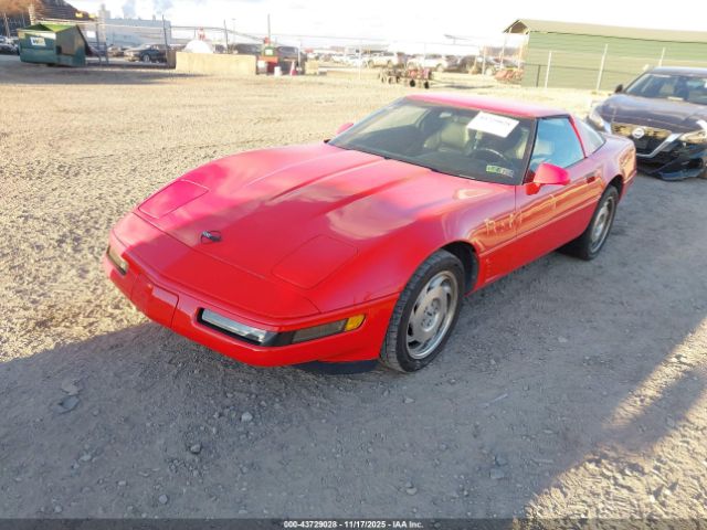 1995 CHEVROLET CORVETTE 1G1YY22P6S5100670 Photo 1