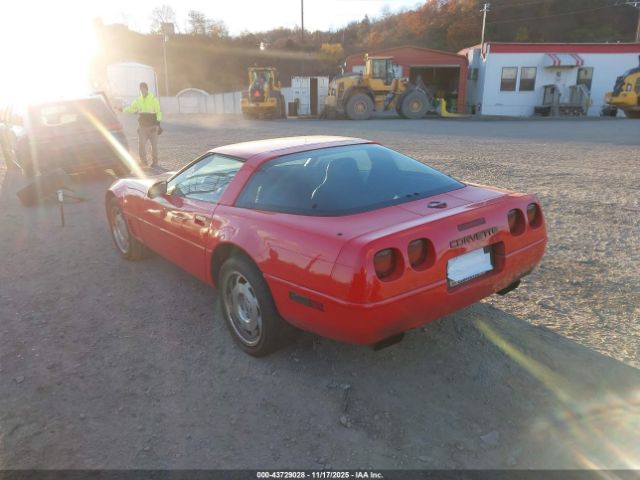 1995 CHEVROLET CORVETTE 1G1YY22P6S5100670 Photo 2