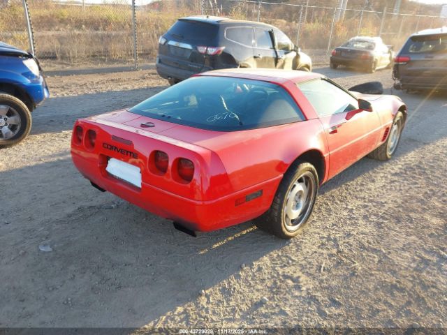 1995 CHEVROLET CORVETTE 1G1YY22P6S5100670 Photo 3