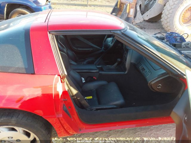 1995 CHEVROLET CORVETTE 1G1YY22P6S5100670 Photo 4