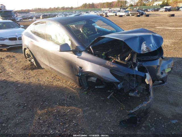 2022 TESLA MODEL Y 7SAYGAEE2NF314303 Photo 0