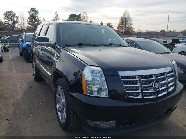 2010 CADILLAC ESCALADE 1GYUKCEF9AR291678 Photo 0