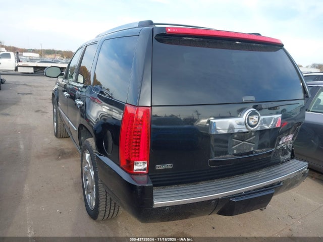2010 CADILLAC ESCALADE 1GYUKCEF9AR291678 Photo 2