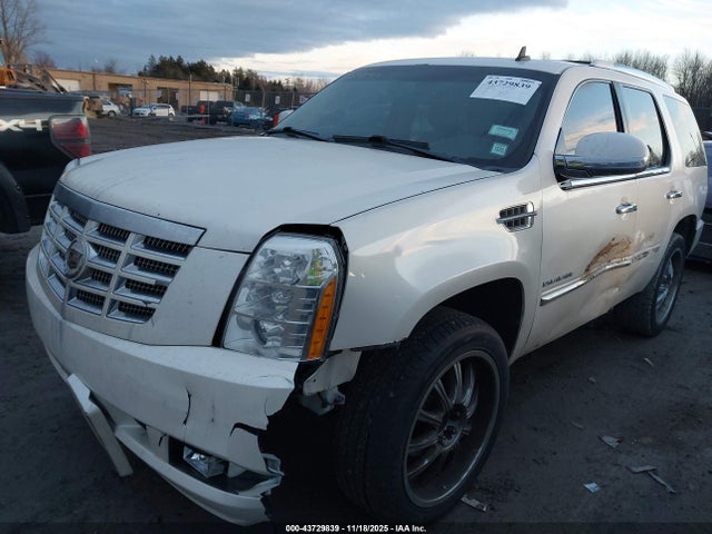 2013 CADILLAC ESCALADE 1GYS4BEF9DR247695 Photo 1