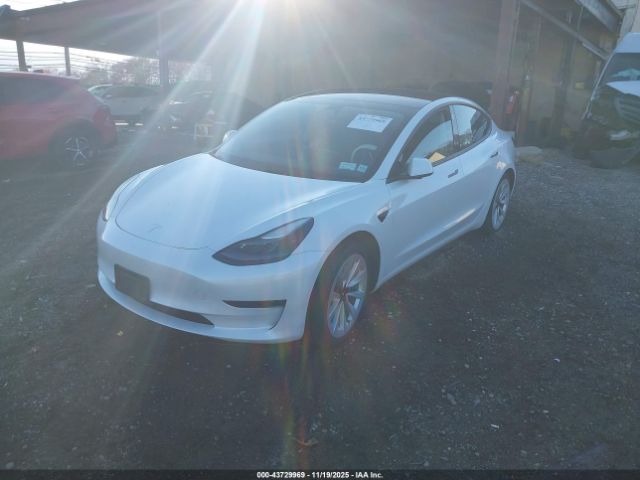 2023 TESLA MODEL 3 5YJ3E1EA1PF446739 Photo 1