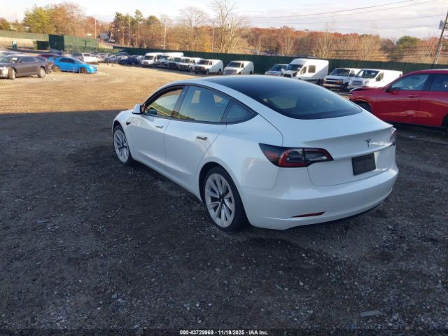 2023 TESLA MODEL 3 5YJ3E1EA1PF446739 Photo 2