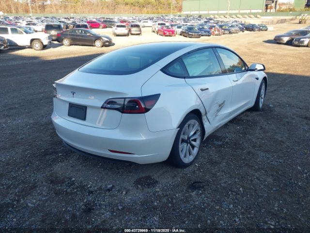 2023 TESLA MODEL 3 5YJ3E1EA1PF446739 Photo 3