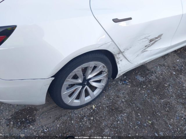 2023 TESLA MODEL 3 5YJ3E1EA1PF446739 Photo 5