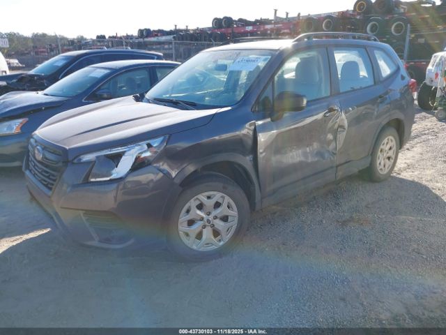 2024 SUBARU FORESTER JF2SKABC8RH435901 Photo 1