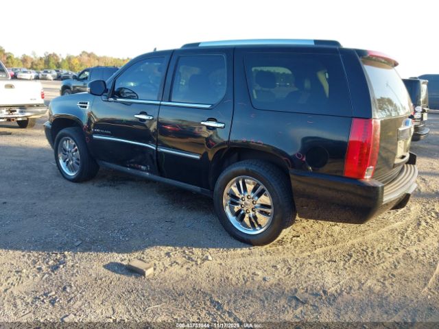 2007 CADILLAC ESCALADE 1GYEC63877R340523 Photo 2