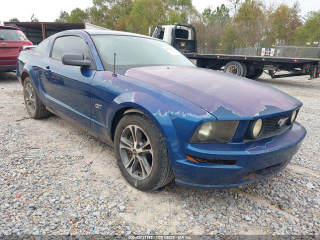 2006 FORD MUSTANG 1ZVHT82H665259824