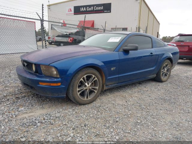 2006 FORD MUSTANG 1ZVHT82H665259824 Photo 1
