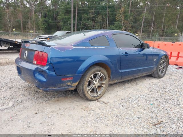 2006 FORD MUSTANG 1ZVHT82H665259824 Photo 3