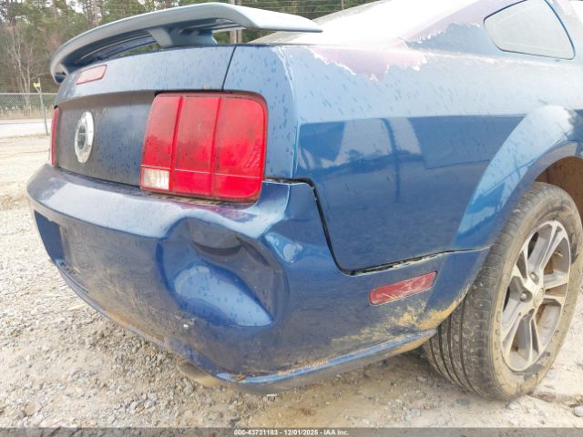 2006 FORD MUSTANG 1ZVHT82H665259824 Photo 5