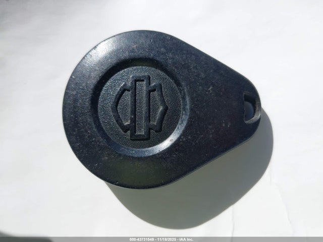 2020 HARLEY-DAVIDSON FLTRXS 1HD1KTP16LB619384 Photo 10