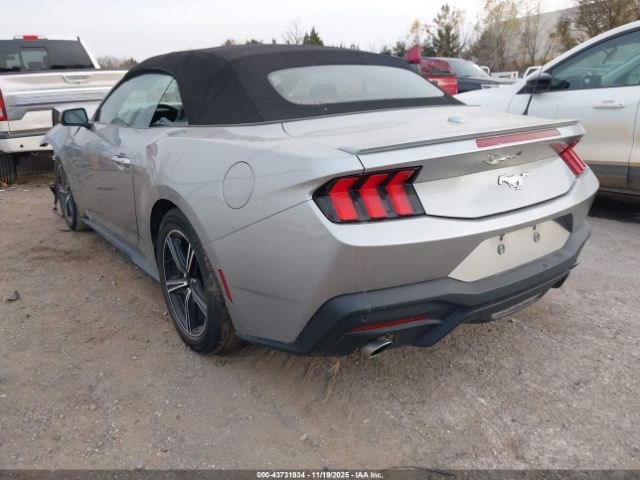 2024 FORD MUSTANG 1FAGP8UH1R5120663 Photo 2