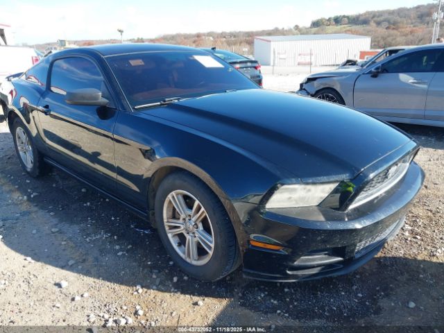 2013 FORD MUSTANG 1ZVBP8AM3D5226530