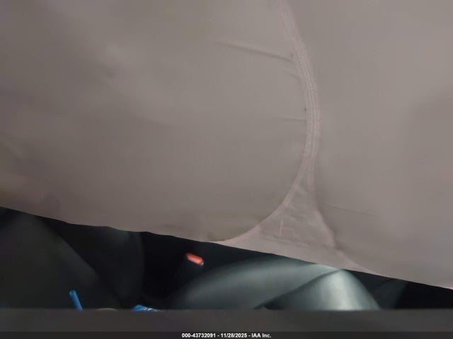 2023 TESLA MODEL Y 7SAYGDEE6PF701893 Photo 4