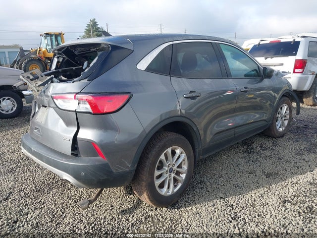 Ford Escape Se Hybrid 2022 1FMCU0BZ2NUB46151 Image 4