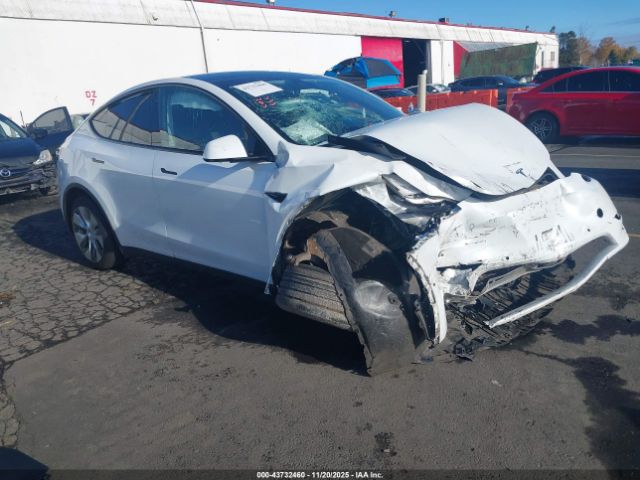 2021 TESLA MODEL Y 5YJYGDEE0MF065352