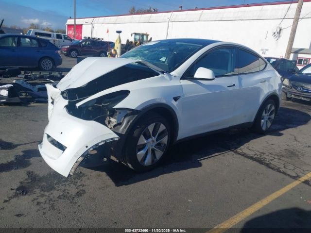 2021 TESLA MODEL Y 5YJYGDEE0MF065352 Photo 1