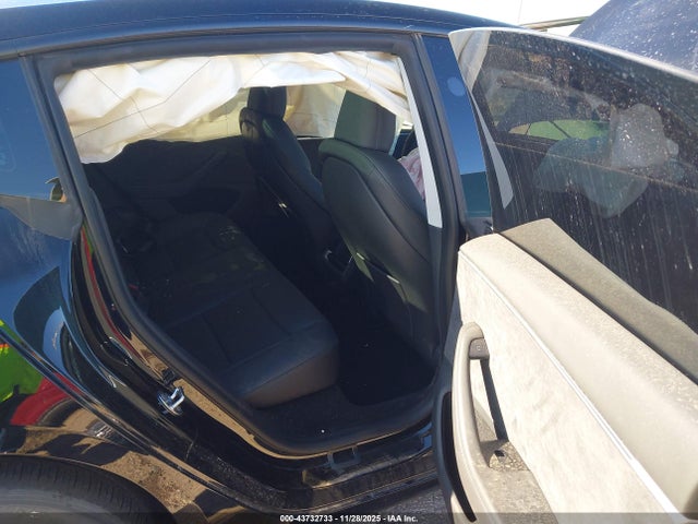 2025 TESLA MODEL 3 5YJ3E1EB5SF951541 Photo 7