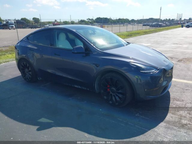 2023 TESLA MODEL Y 7SAYGDEF8PF700852