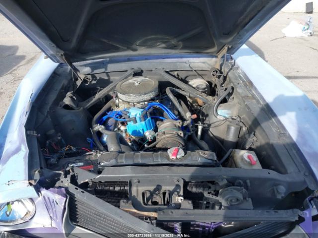 1966 FORD MUSTANG 6F07C342819 Photo 9