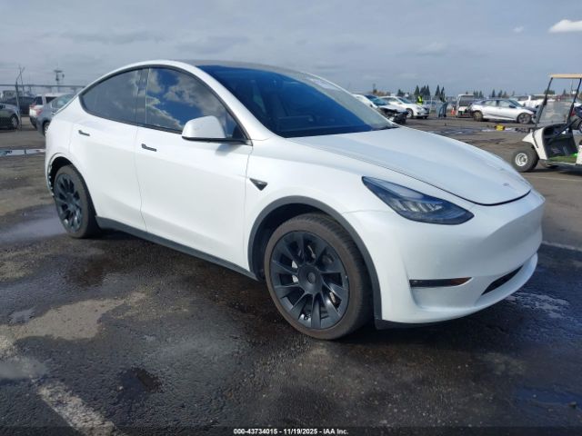 2021 TESLA MODEL Y 5YJYGDEE2MF141489
