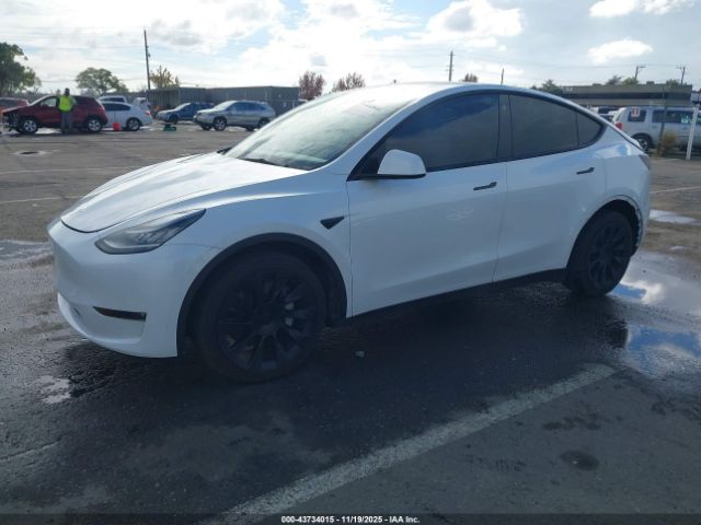 2021 TESLA MODEL Y 5YJYGDEE2MF141489 Photo 1