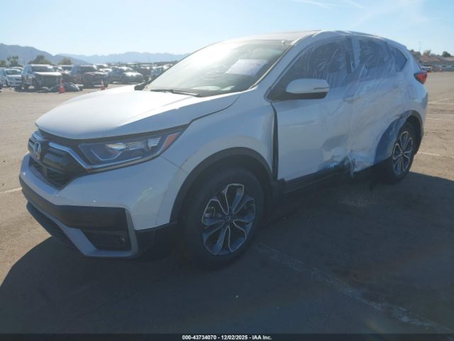 2022 HONDA CR-V 5J6RW1H84NA019264 Photo 1